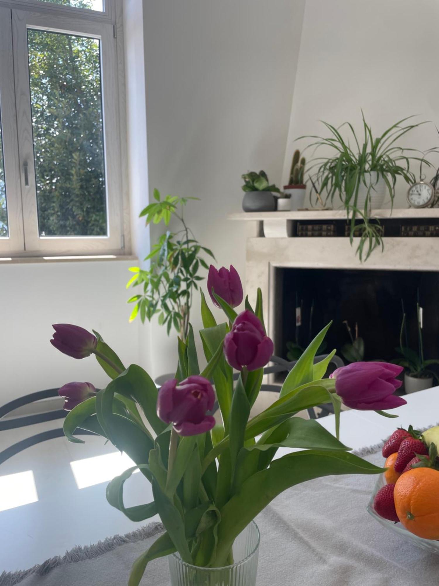 La Casa De Lu Barone Appartement San Demetrio ne' Vestini Buitenkant foto